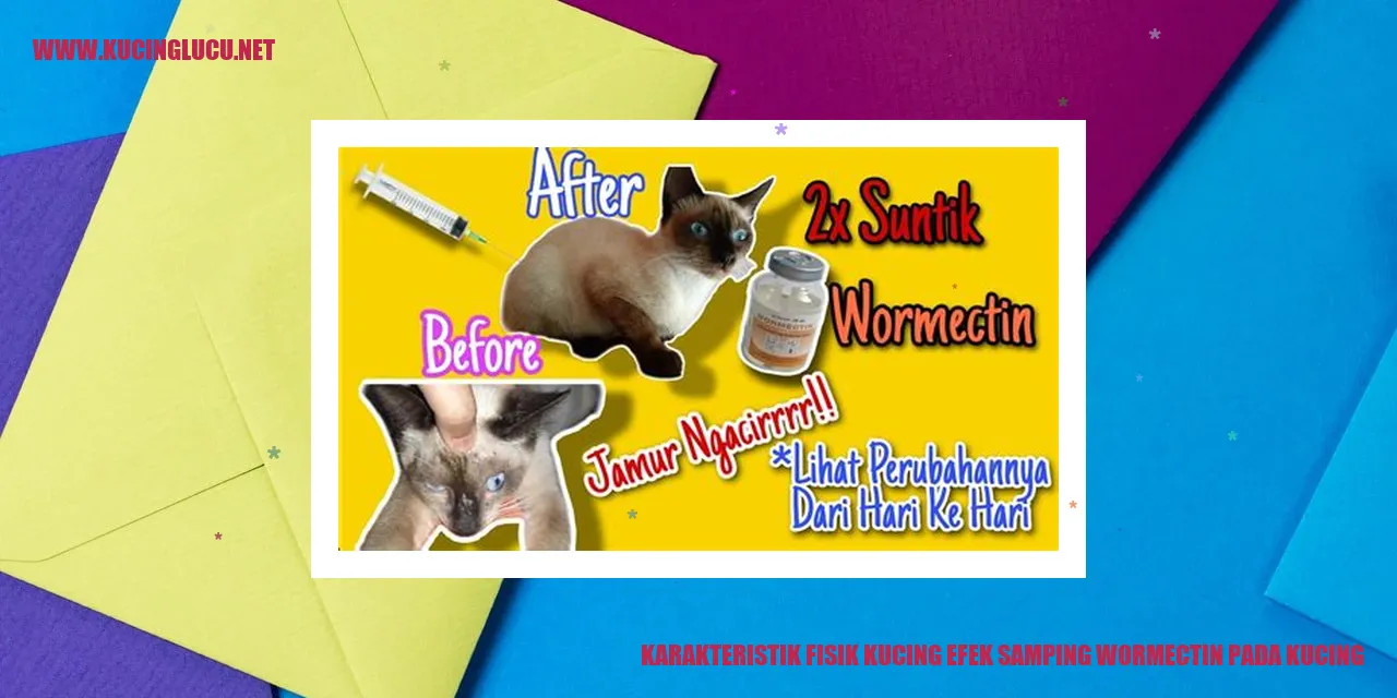 Gambar Kucing yang Menawan