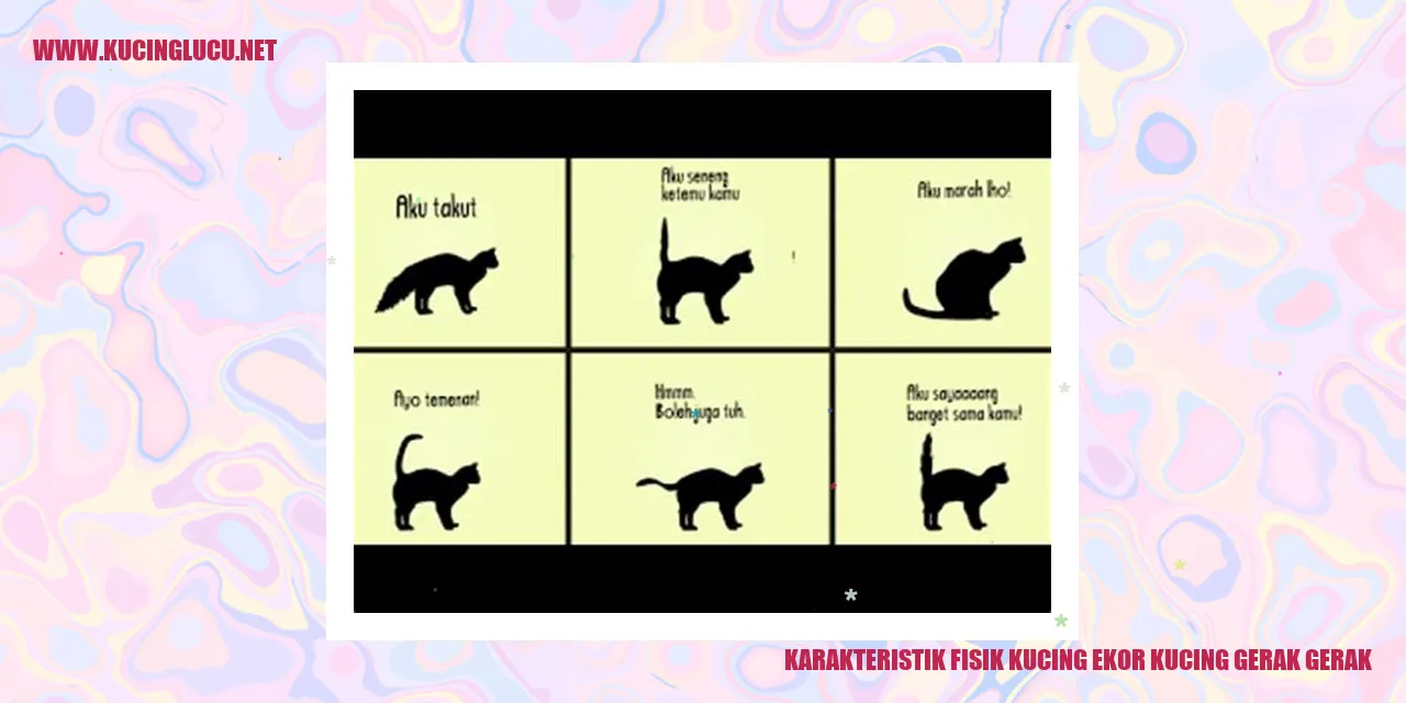 Karakteristik Fisik Kucing