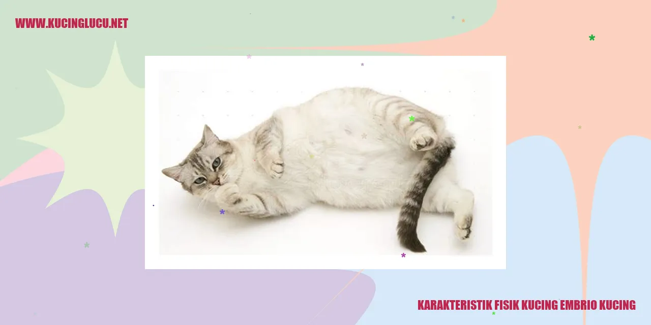 Karakteristik Fisik Kucing Embrio Kucing