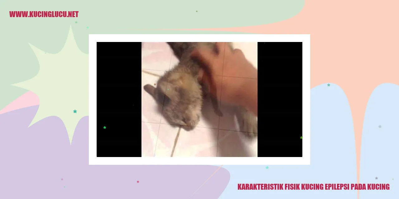 Karakteristik Fisik Kucing epilepsi pada kucing