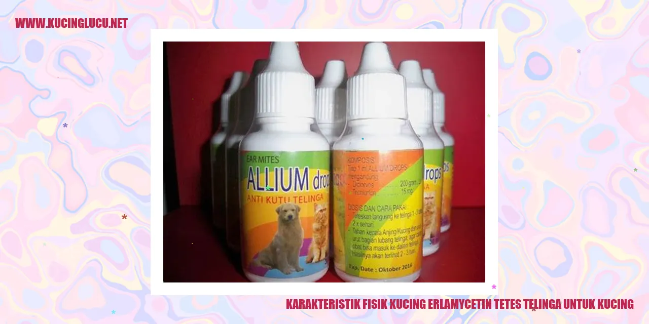 Gambar Kucing
