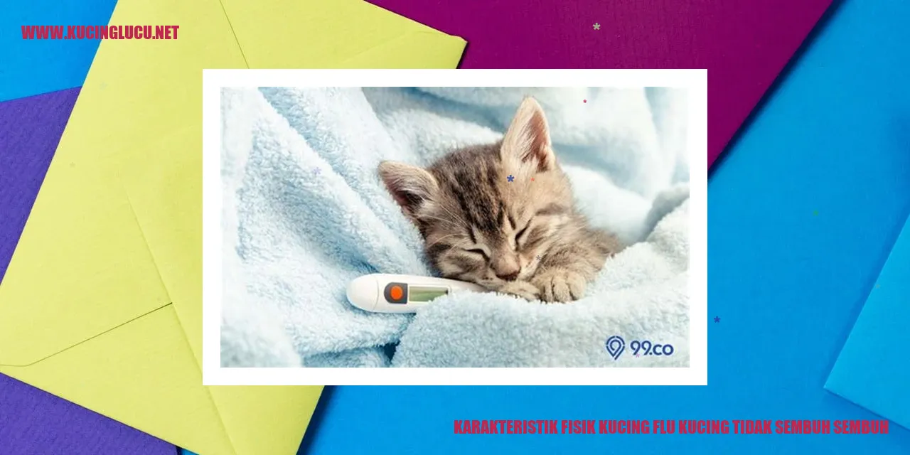 Karakteristik Fisik Kucing yang Tidak Kunjung Sembuh dari Flu