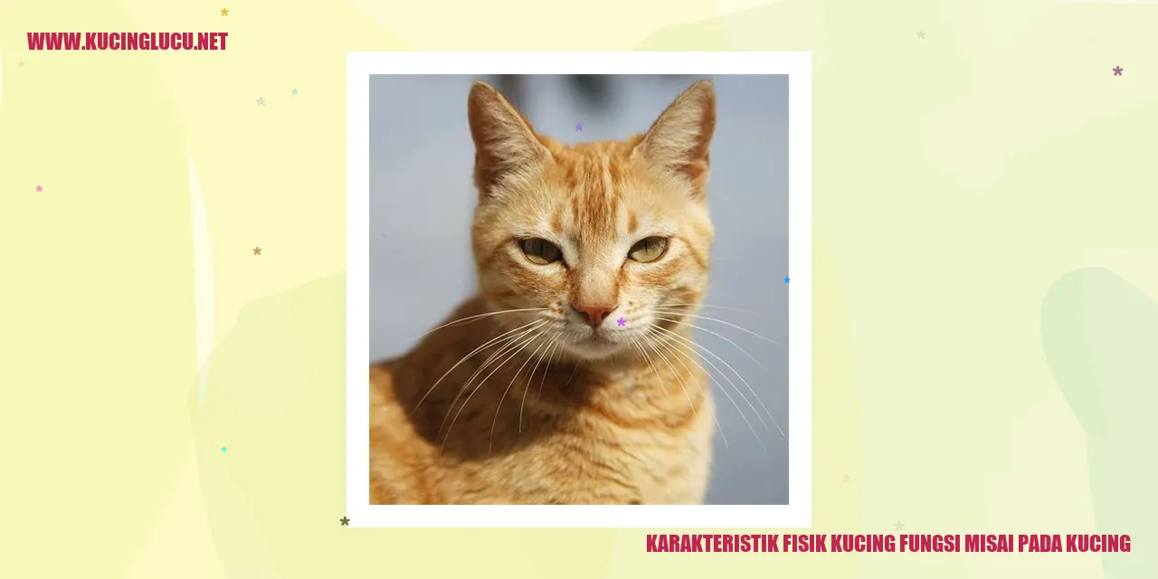 Gambar Kucing