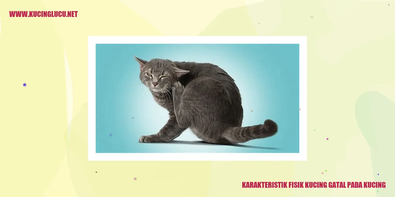 Karakteristik Fisik Kucing Gatal
