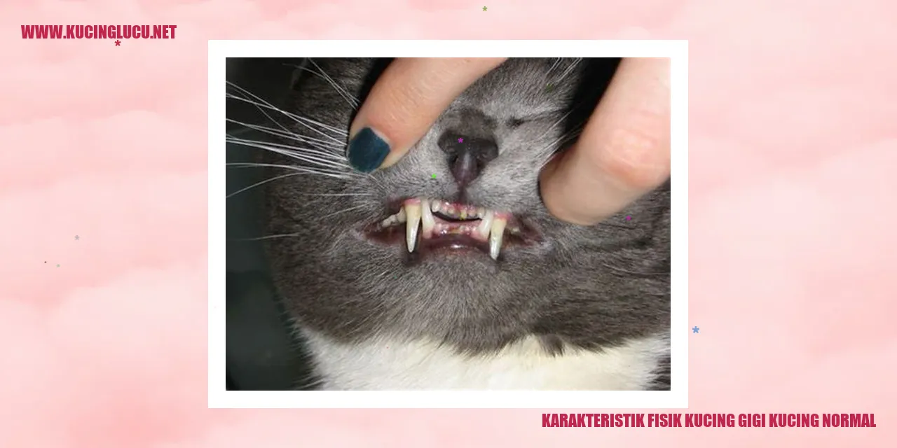 Karakteristik Fisik Kucing Gigi Kucing Normal