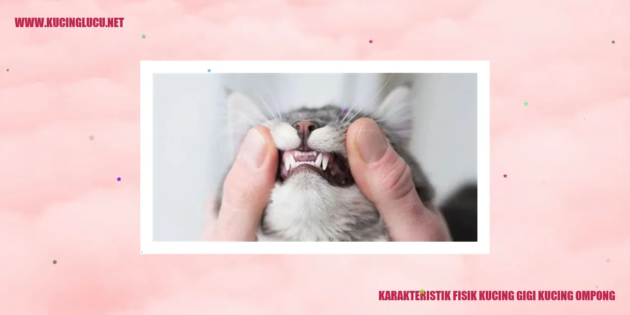 Karakteristik Fisik Kucing gigi kucing ompong