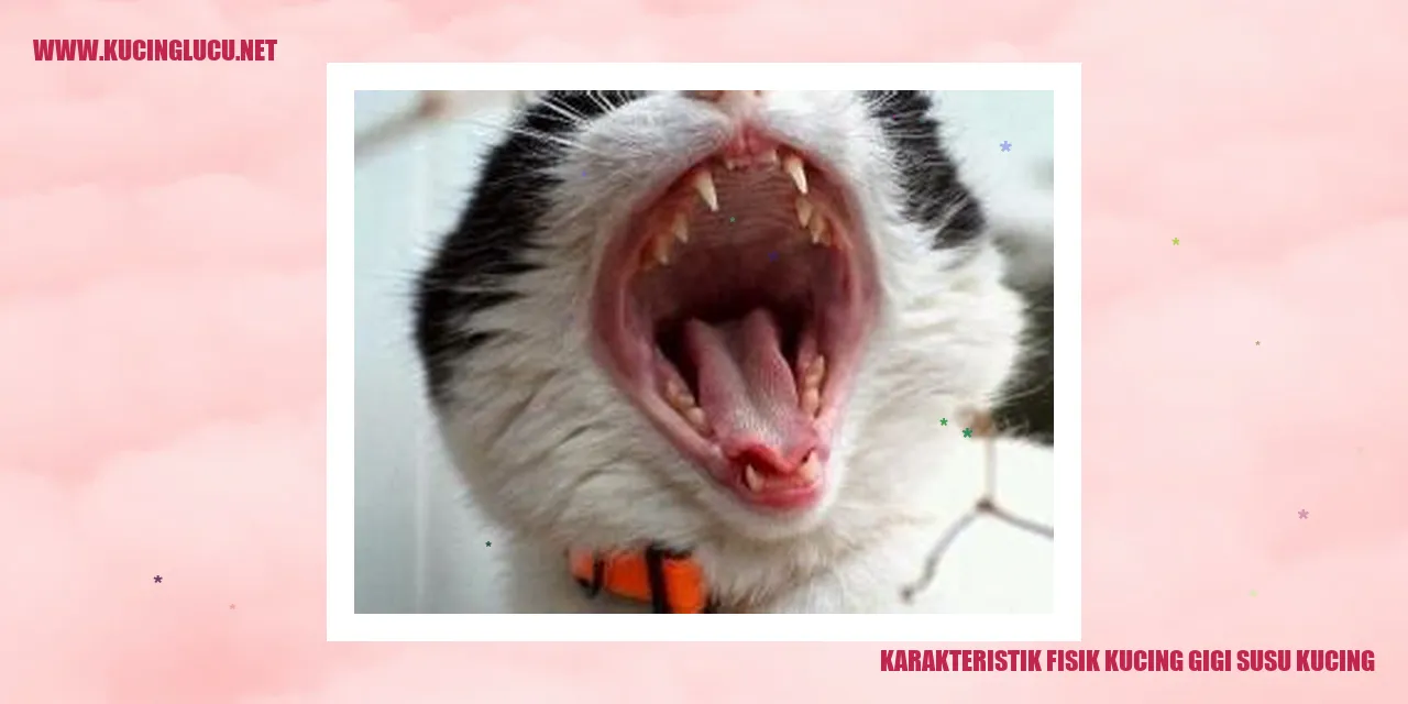 Karakteristik Fisik Gigi Susu Kucing