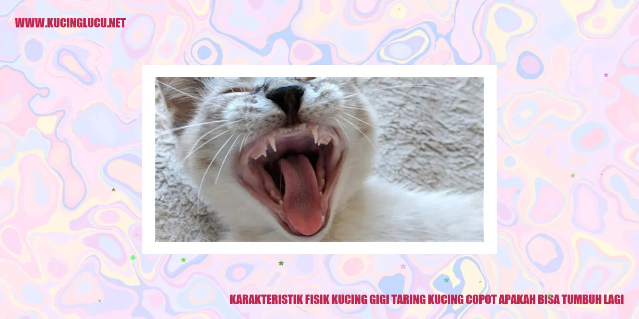 Gigi taring kucing