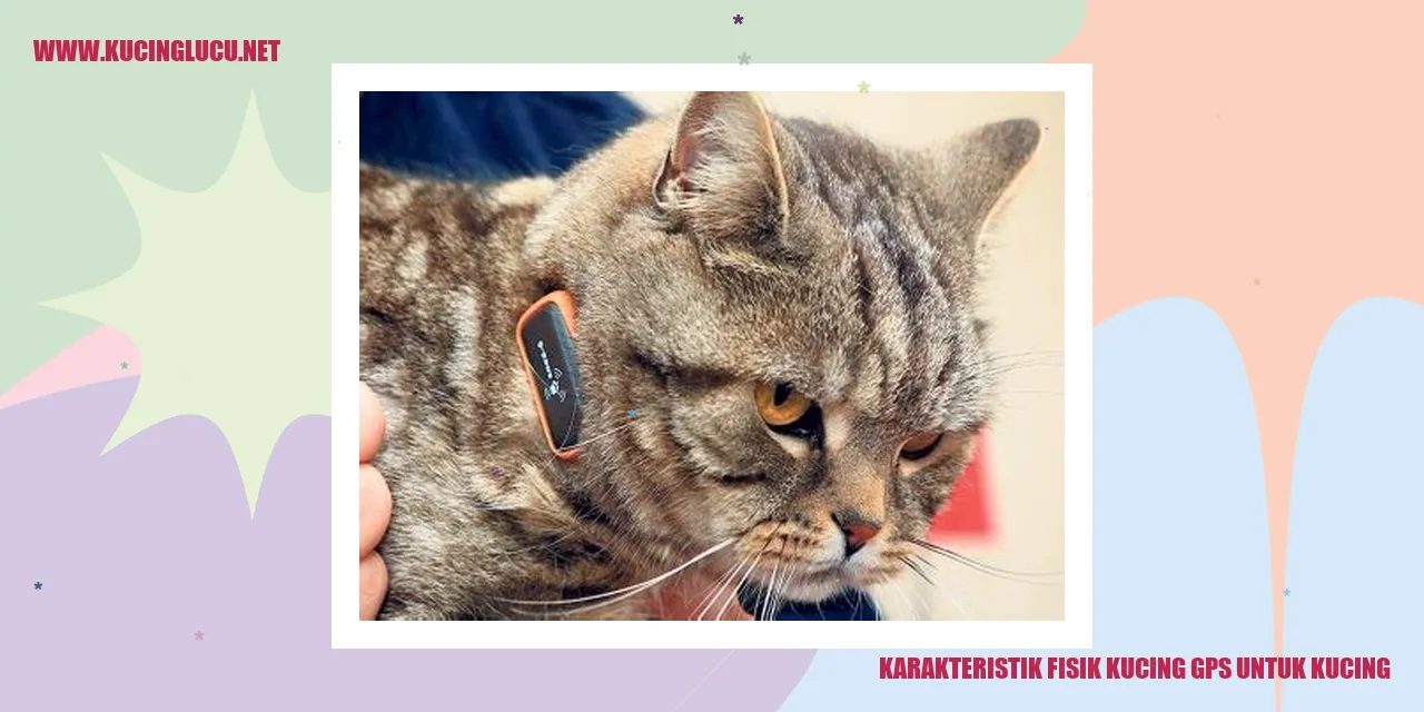 Karakteristik Fisik Kucing GPS untuk Kucing