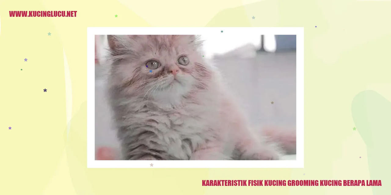 Karakteristik Fisik Kucing