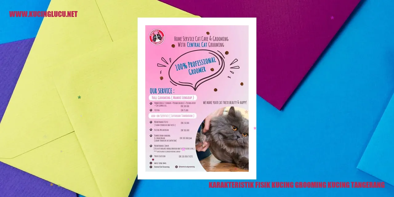 Karakteristik Fisik Kucing Grooming di Tangerang