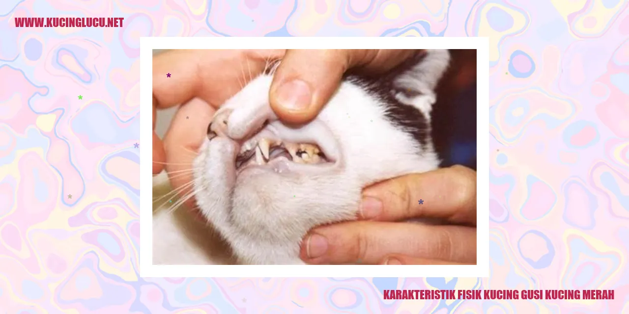 Karakteristik Fisik Kucing gusi kucing merah