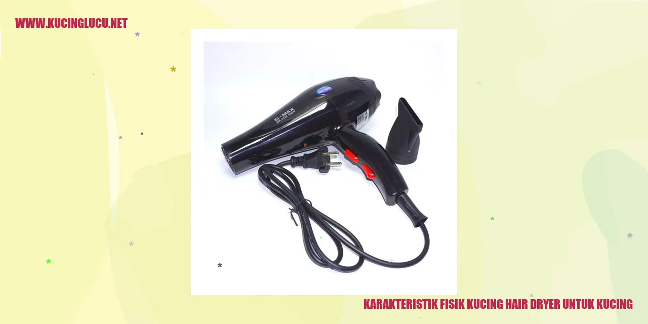 Foto Kucing yang Menggunakan Hair Dryer