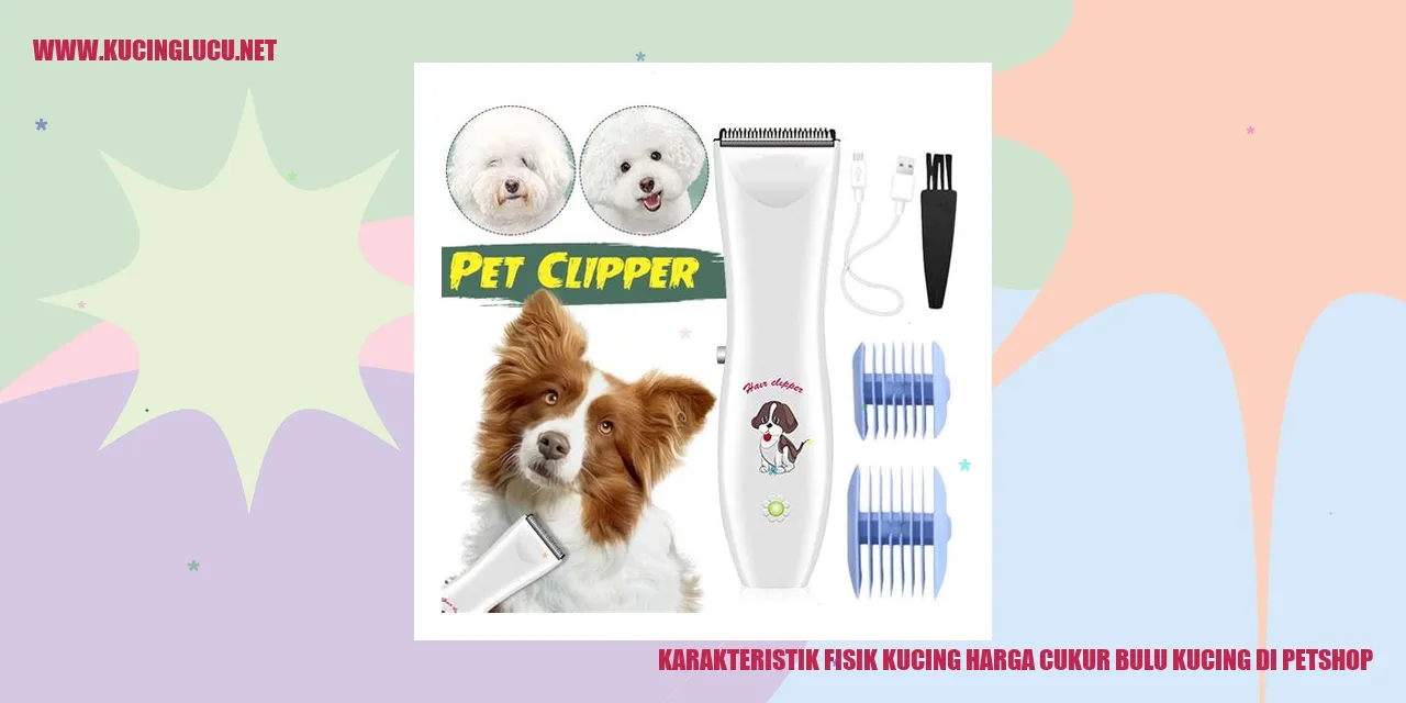 Karakteristik Fisik Kucing dan Harga Cukur Bulu di Petshop