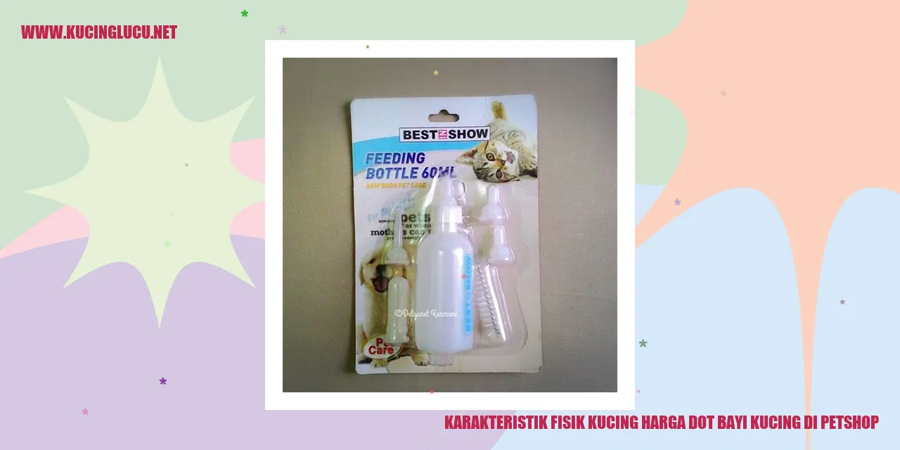 gambar lucu kucing