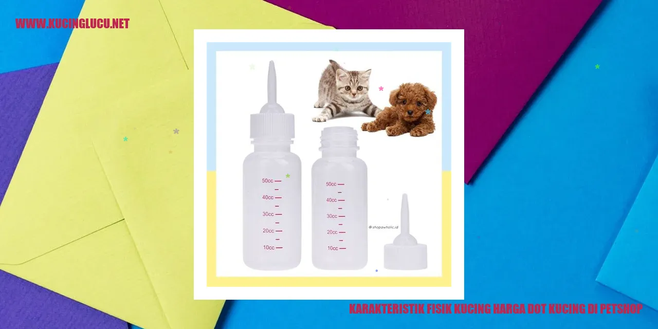 Karakteristik Fisik Kucing dan Harga Dot Kucing di Petshop