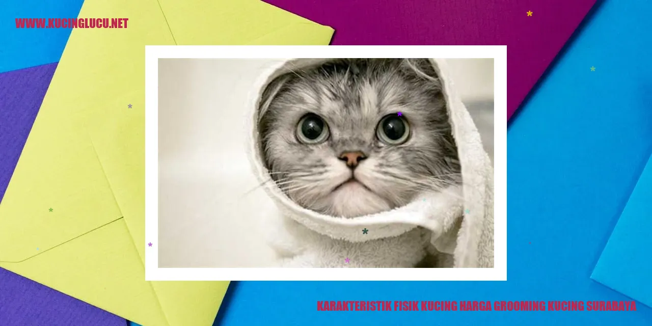 Karakteristik Fisik Kucing harga grooming kucing surabaya