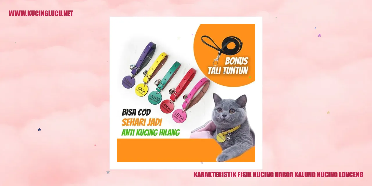 Gambar Kucing dengan Kalung Lonceng