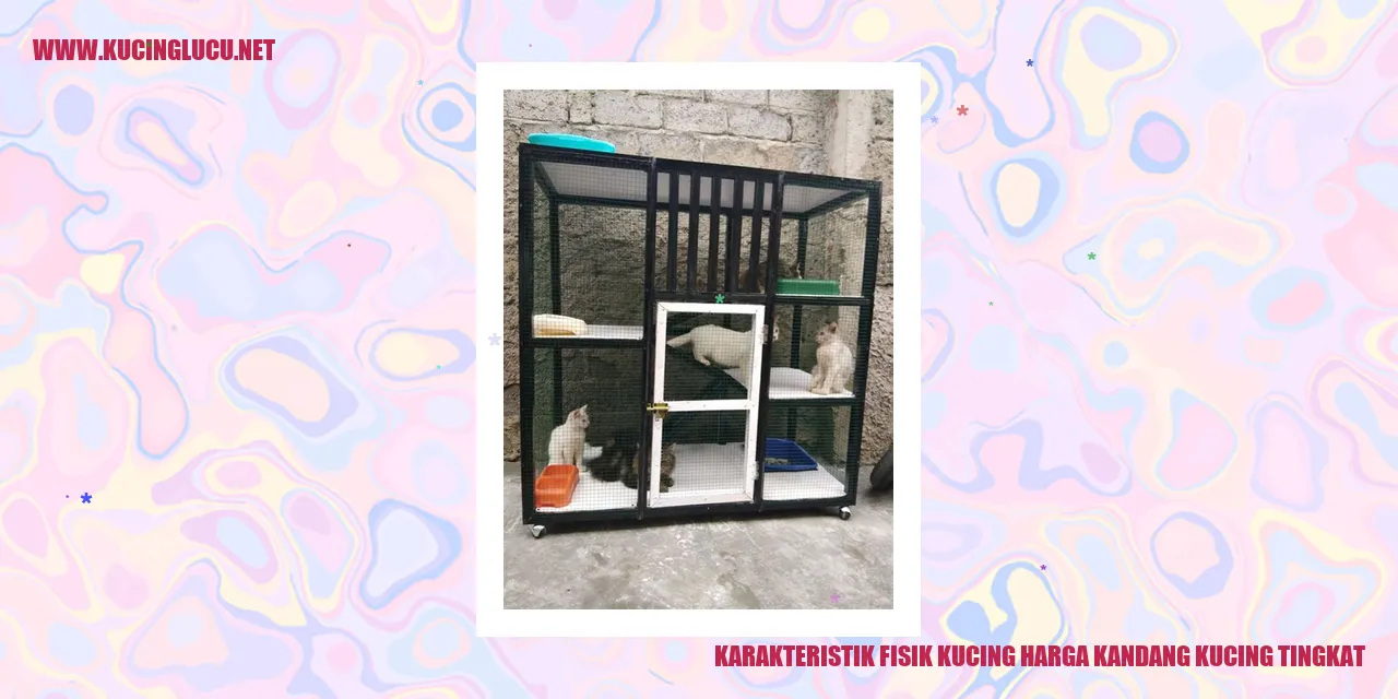 Karakteristik Fisik Kucing Harga Kandang Kucing Tingkat