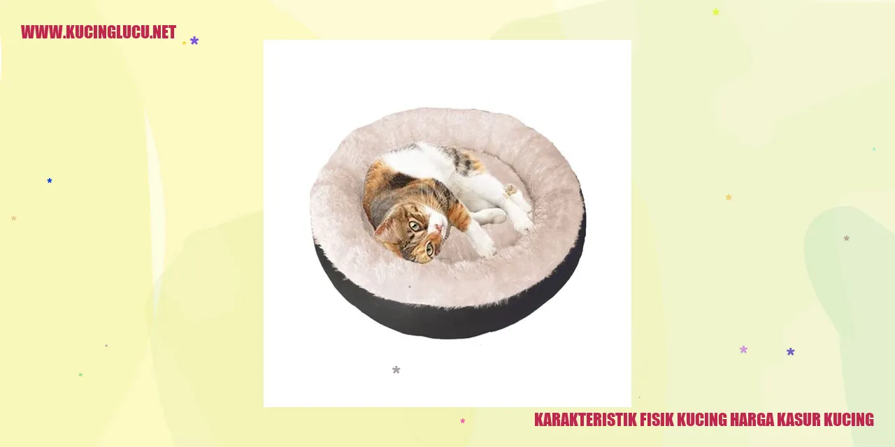 gambar karakteristik fisik kucing
