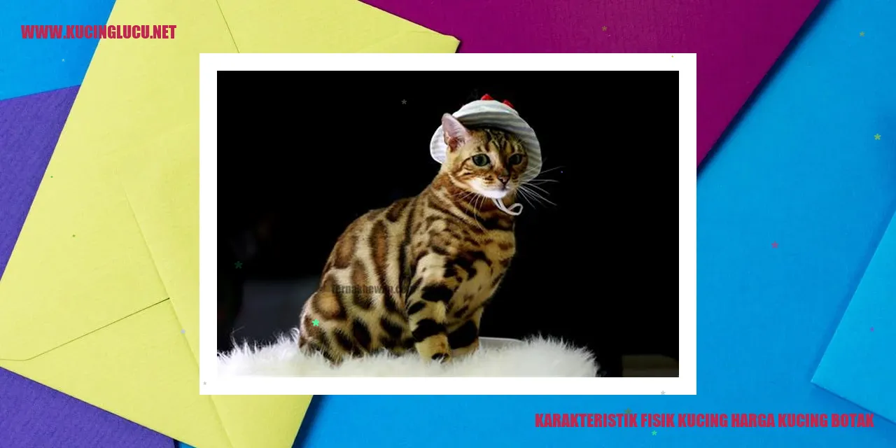 Karakteristik Fisik Kucing harga kucing botak