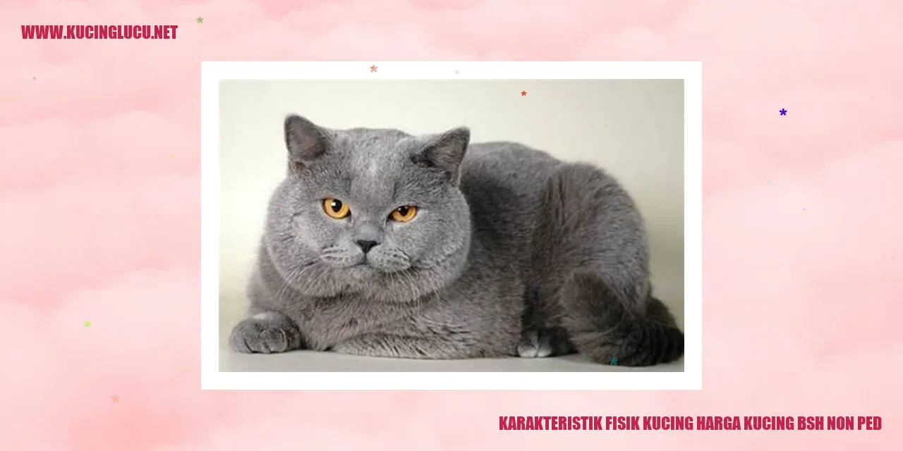 Karakteristik Fisik Kucing
