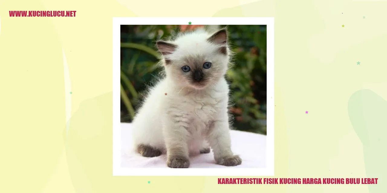 Kucing dengan bulu tebal