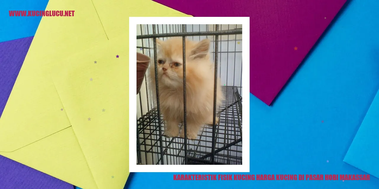 Karakteristik Fisik Kucing di Pasar Hobi Makassar