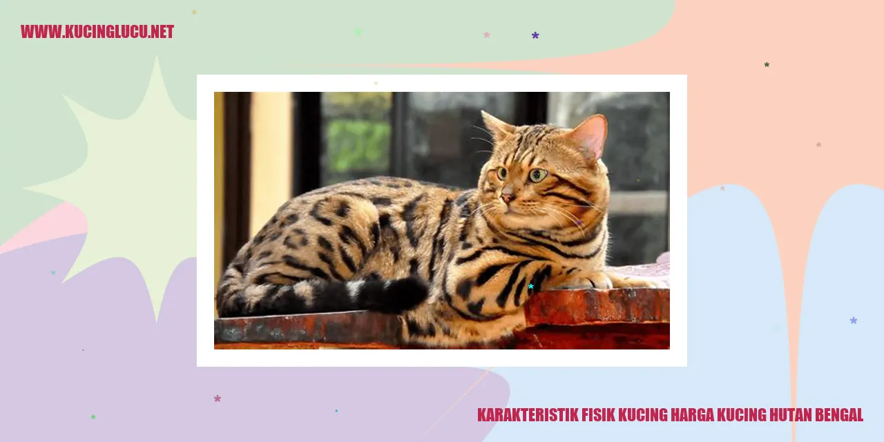 Karakteristik Fisik Kucing Hutan Bengal