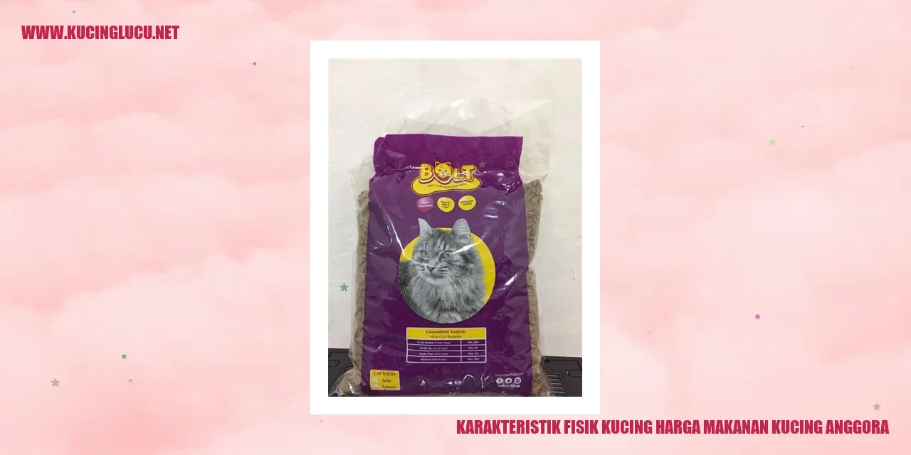 Kucing Anggora