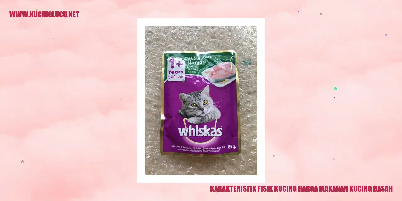 Karakteristik Fisik Kucing