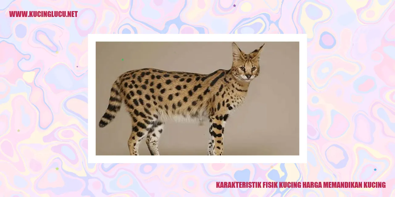Karakteristik Fisik Kucing harga memandikan kucing