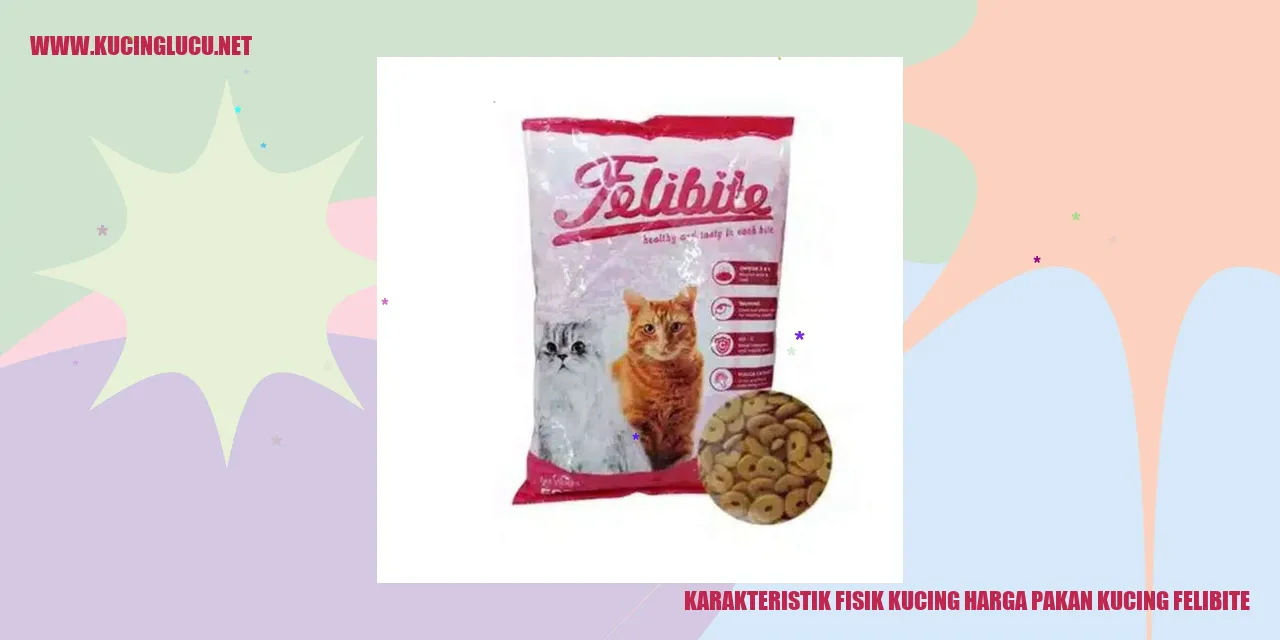gambar kucing