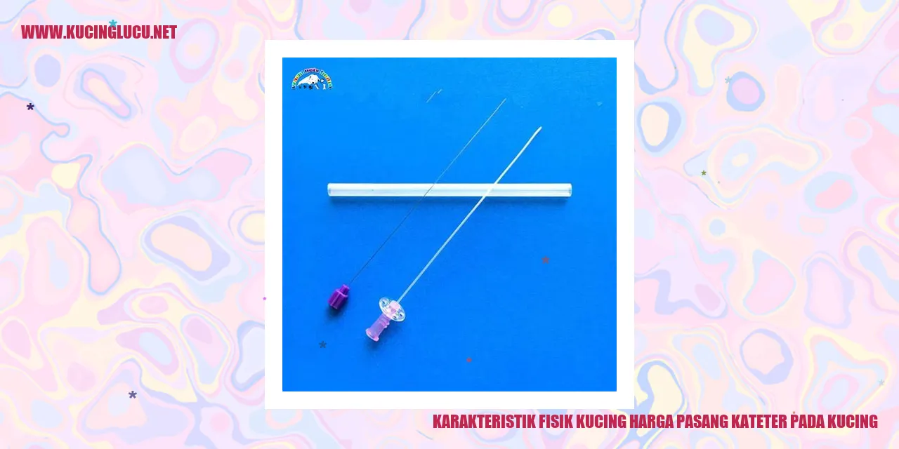 Karakteristik Fisik Kucing harga pasang kateter pada kucing