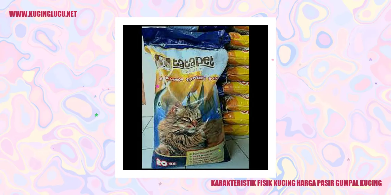 Gambar Kucing