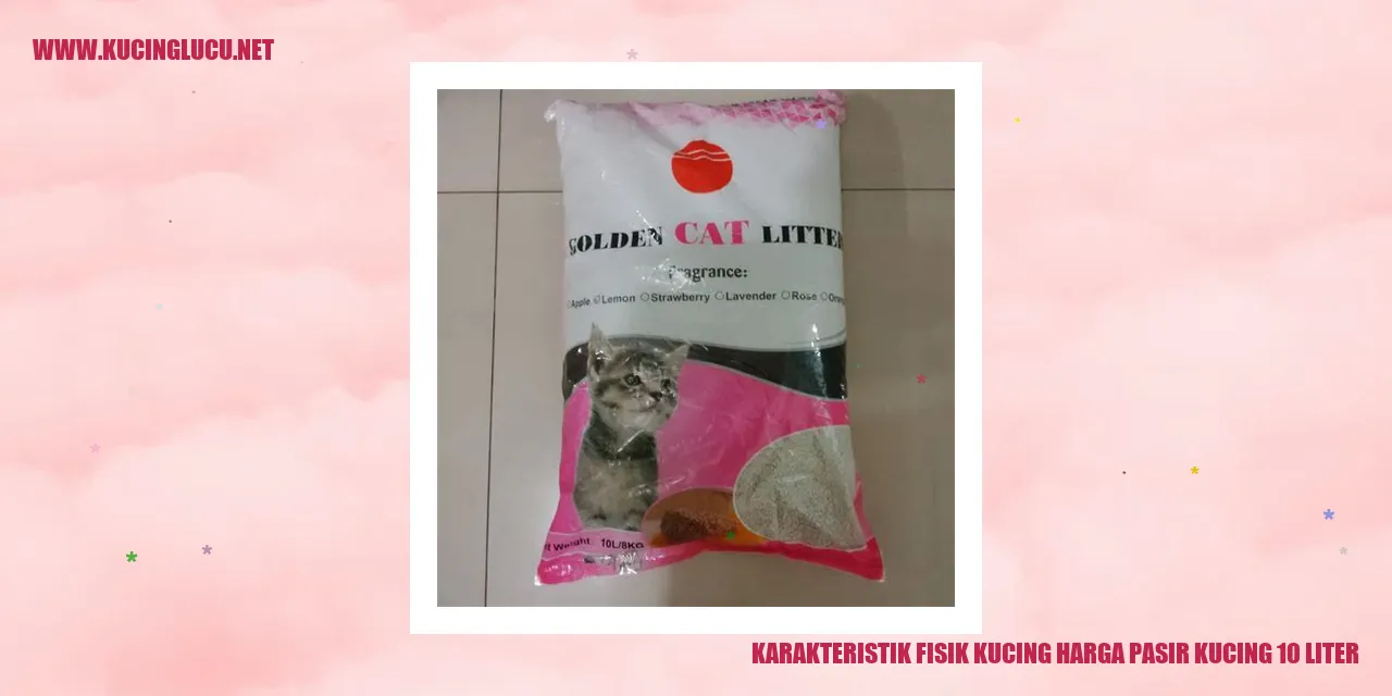 Gambar kucing yang menggemaskan