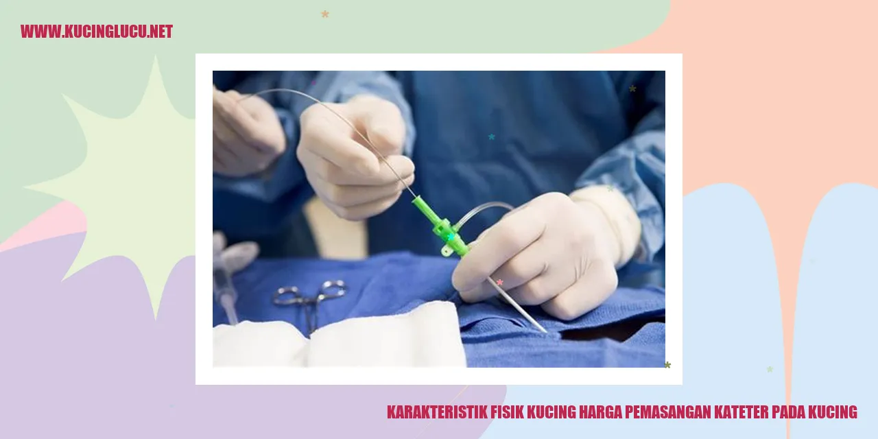 Karakteristik Fisik Kucing