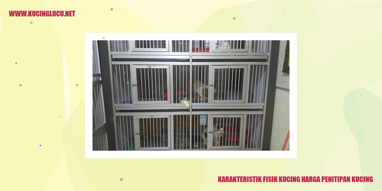 Karakteristik Fisik Kucing