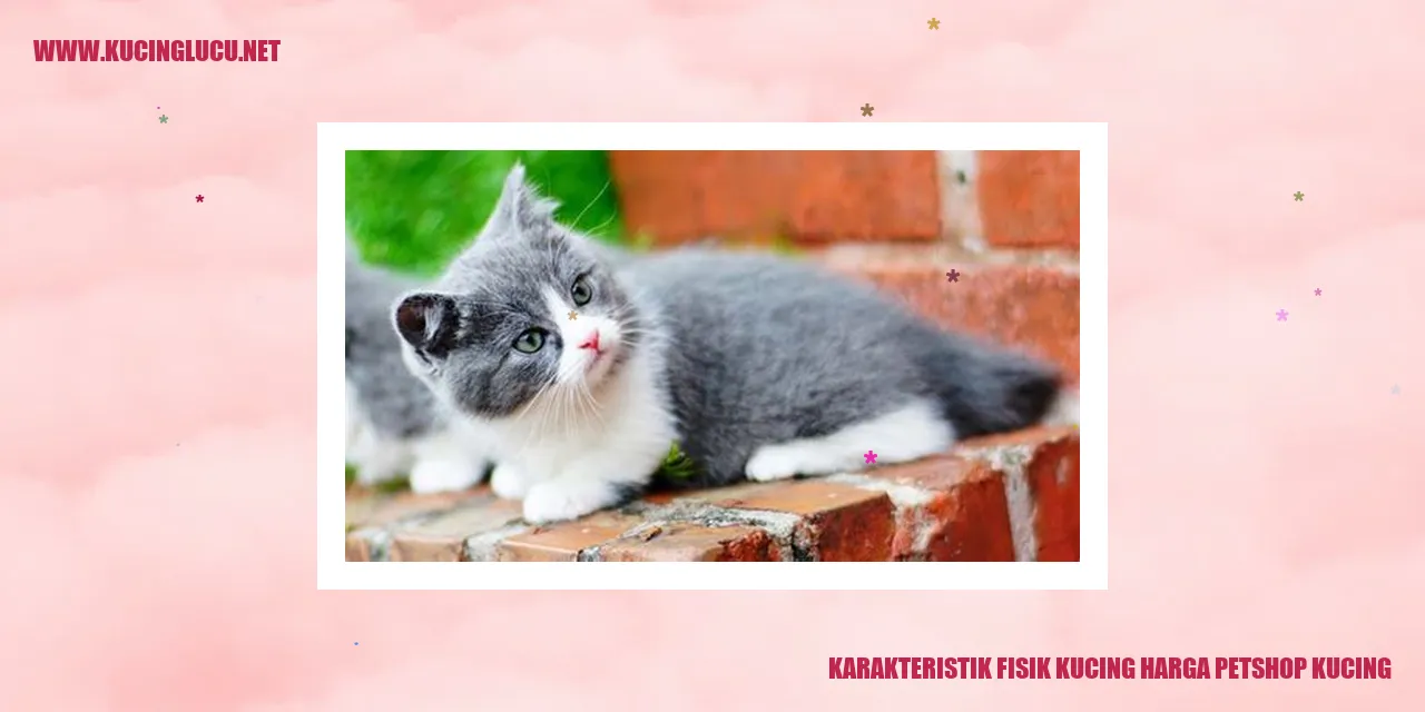 Gambar Kucing