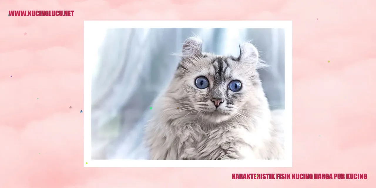 Karakteristik Fisik Kucing harga pur kucing