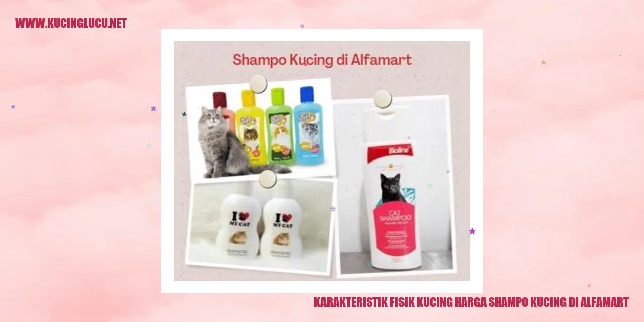 Karakteristik Fisik Kucing