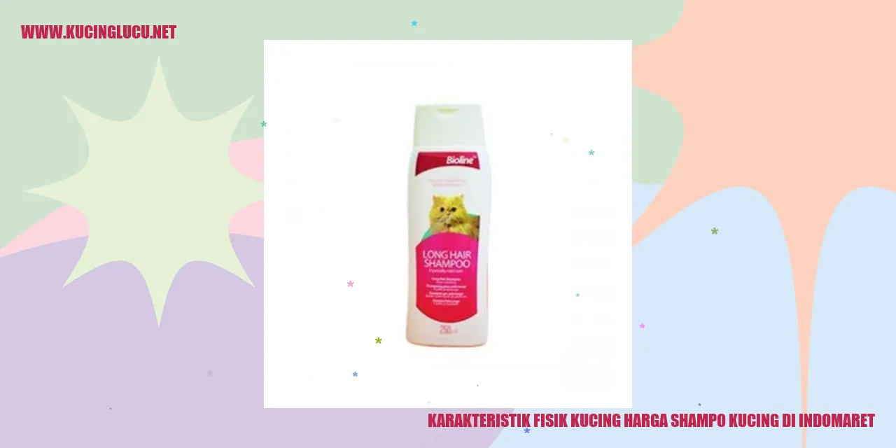 Gambarkan Kucing dengan wajah lucu dan menggemaskan