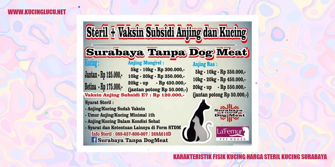 Karakteristik Fisik Kucing harga steril kucing surabaya