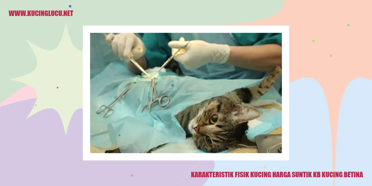 Karakteristik Fisik Kucing
