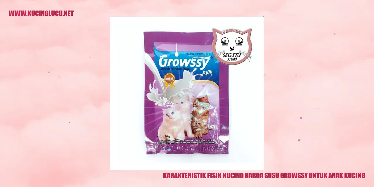 Gambar Kucing