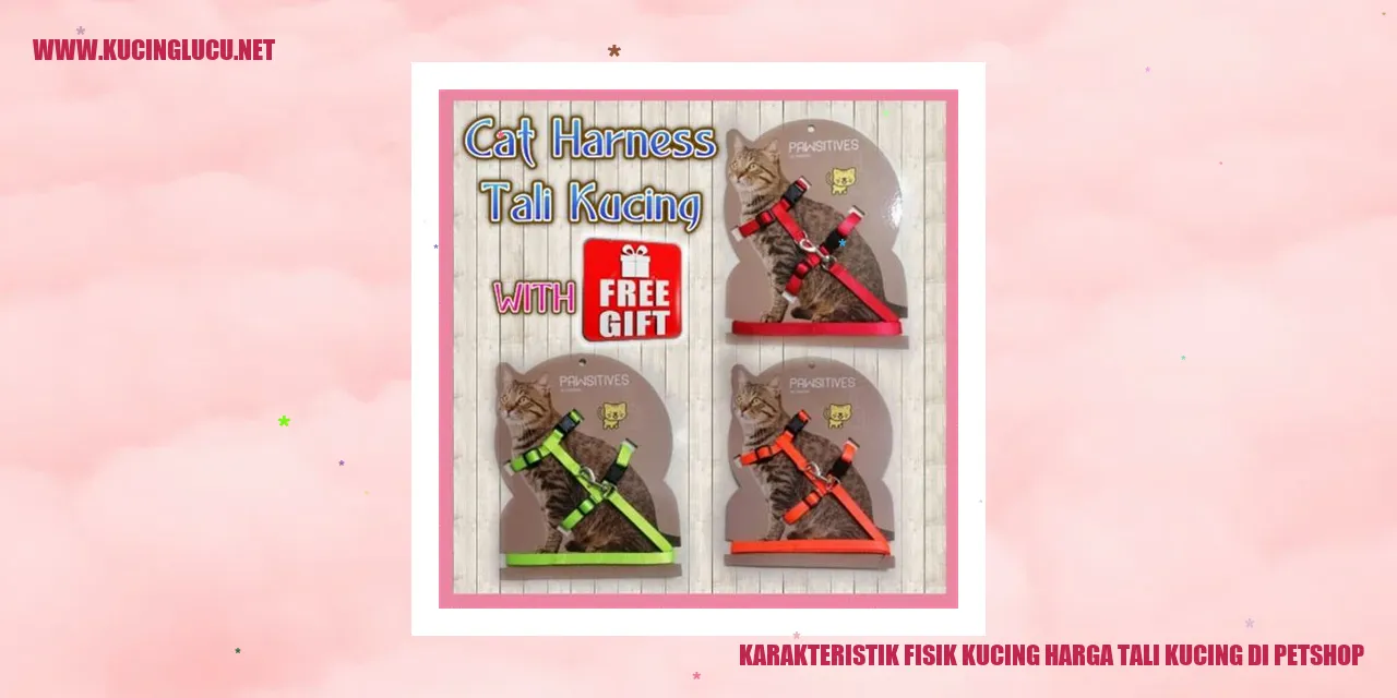 Karakteristik Fisik Kucing