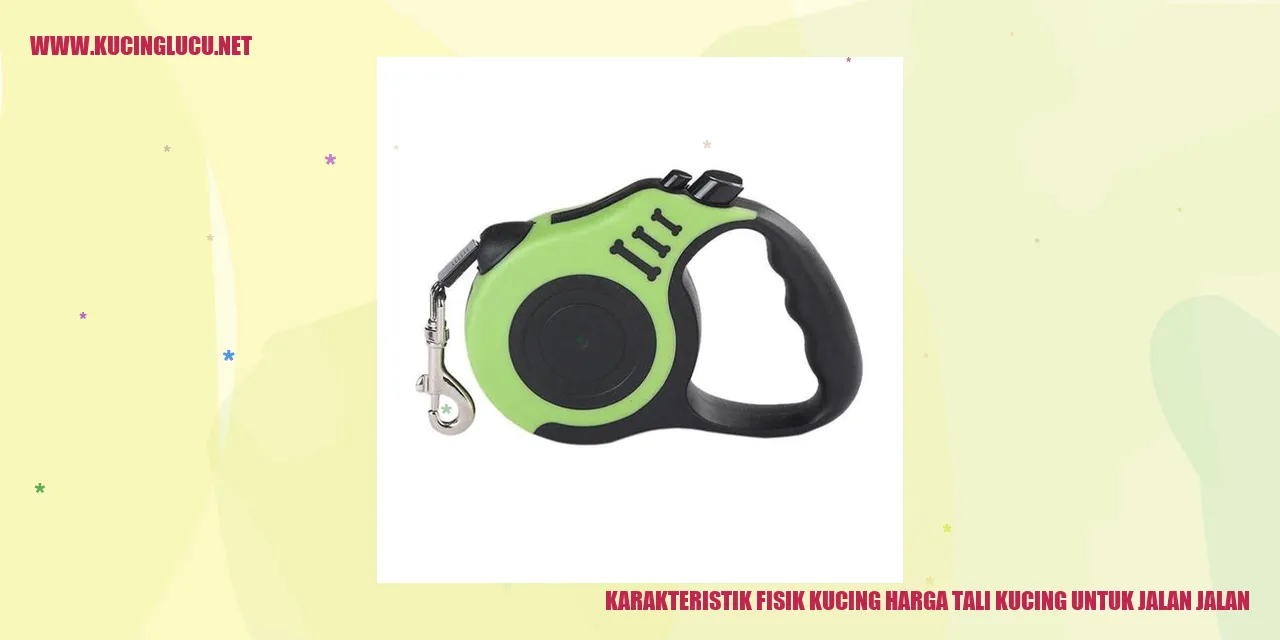 Kucing yang Lucu