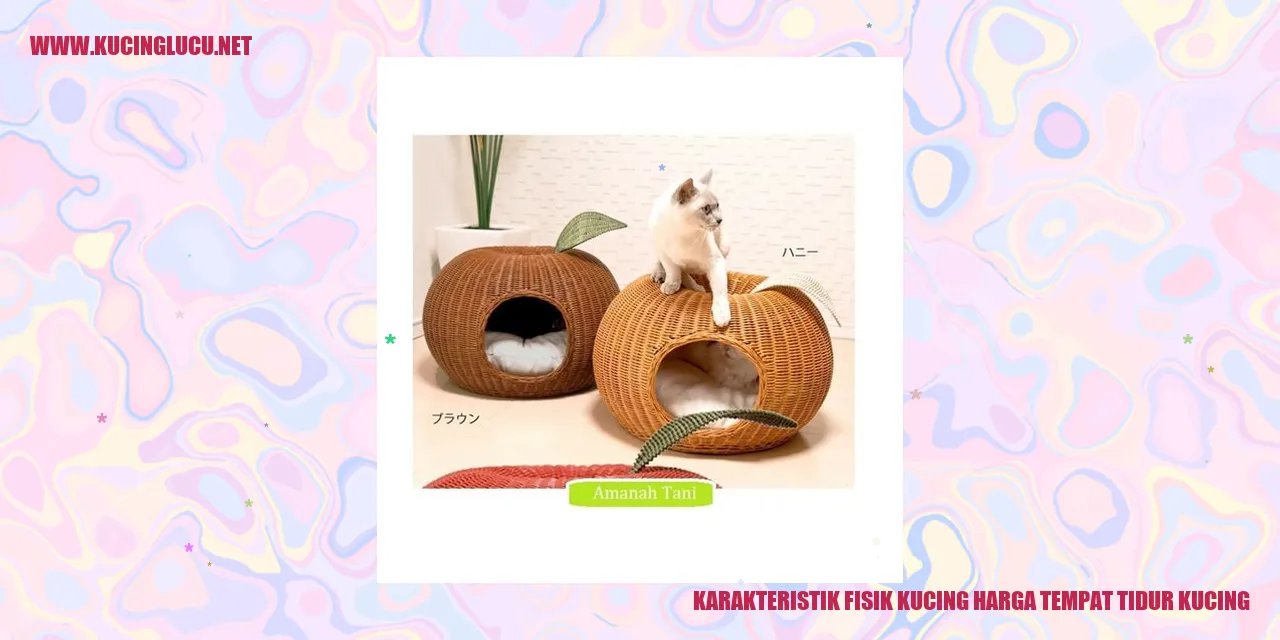 Karakteristik Fisik Kucing
