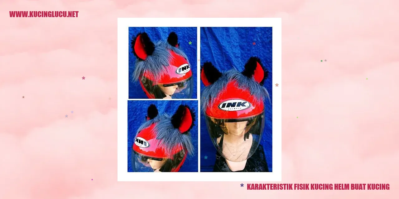 Gambar Kucing Helm