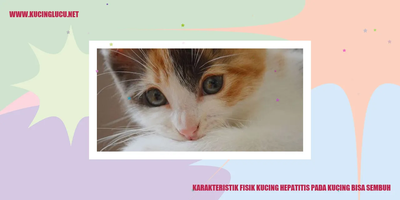 Kucing Hepatitis